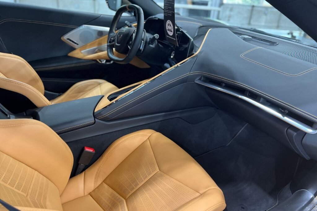 can a car interior detailing remove mold and stain